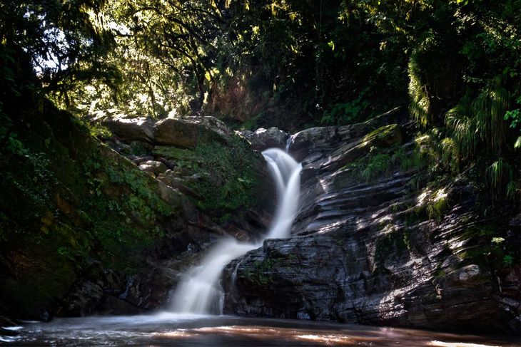 El Parque Sierra San Javier no solo es un refugio ecológico, también un lugar para sumergirse en la ciencia y la biodiversidad. El Parque Sierra San Javier no solo es un refugio ecológico, también un lugar para sumergirse en la ciencia y la biodiversidad.