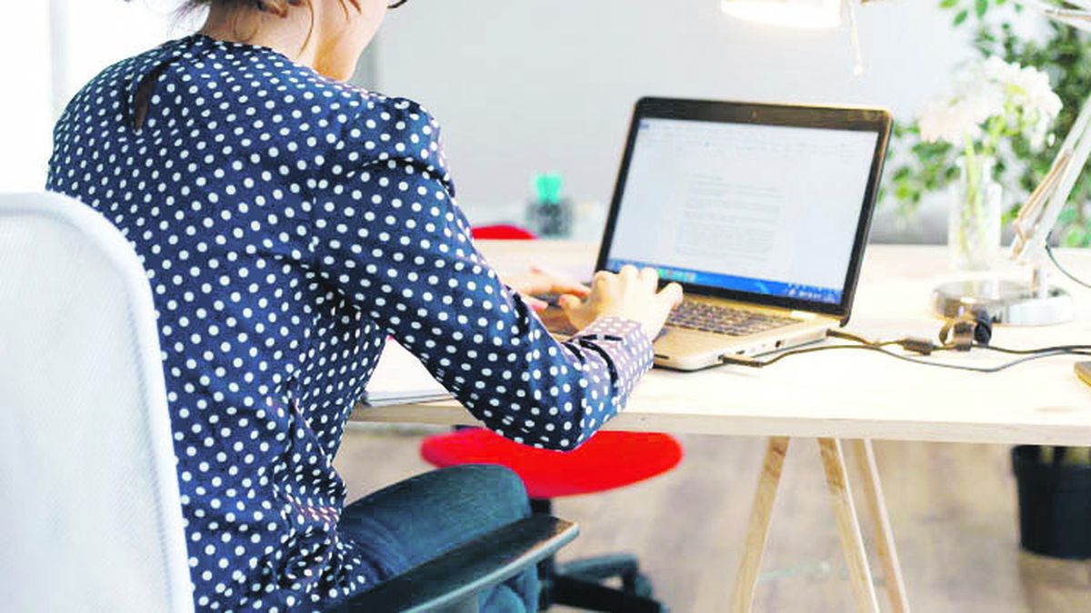 Talent search: company offers remote work and a salary of more than 12 thousand dollars
