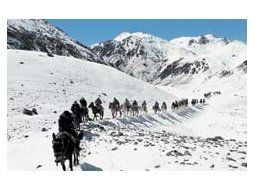 A lomo de mula, la delegación argentina sigue los pasos de San Martín desde el lunes a través de los Andes.