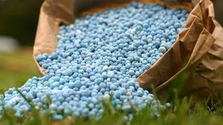 Urea. Argentina enfrenta una paradoja estructural: es uno de los grandes productores de alimentos del mundo, pero mantiene una fuerte dependencia de fertilizantes importados. Urea. Argentina enfrenta una paradoja estructural: es uno de los grandes productores de alimentos del mundo, pero mantiene una fuerte dependencia de fertilizantes importados.
