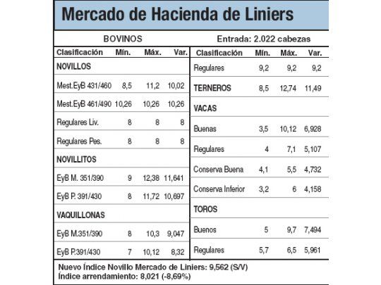 Estabilidad en el Mercado de Liniers