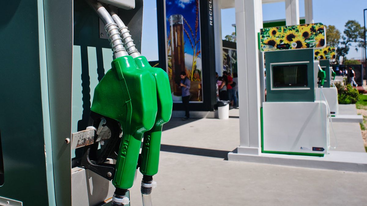 Javier Milei’s government authorized a new rise in biodiesel