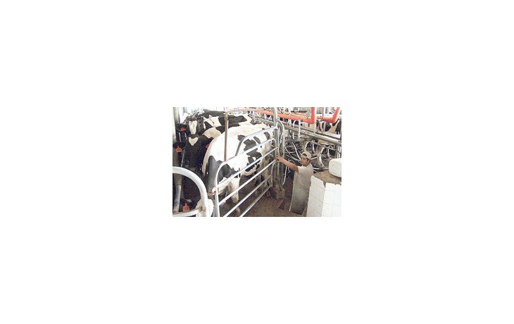 Los pagos alcanzan a 8.576 productores tamberos.