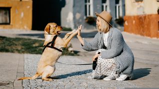 tinder: poner fotos con perros seria el secreto del exito