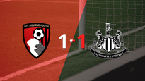 bournemouth logro sacar el empate de local frente a newcastle united