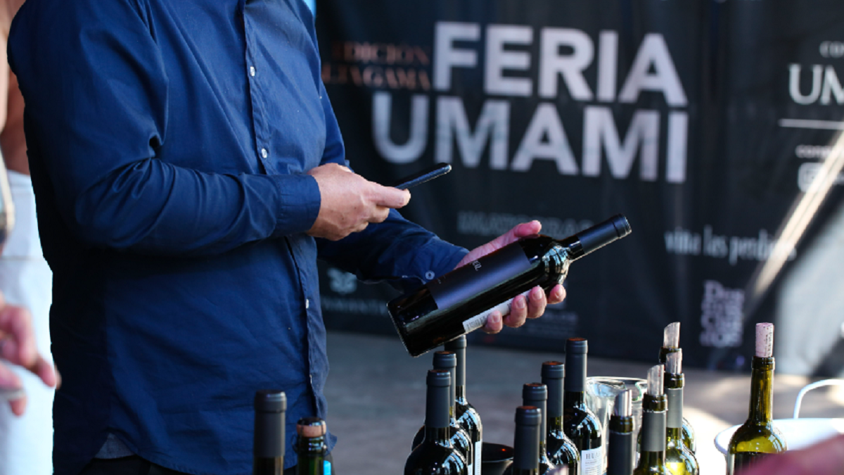 The wine industry grows in high-end proposals