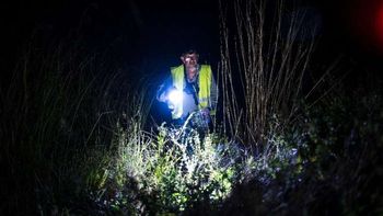 cazador de pitones de birmania: una profesion de riesgo en florida cazador de pitones de birmania: una profesion de riesgo en florida