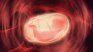 Cada 4 de junio se celebra el Día Mundial de la Fertilidad.