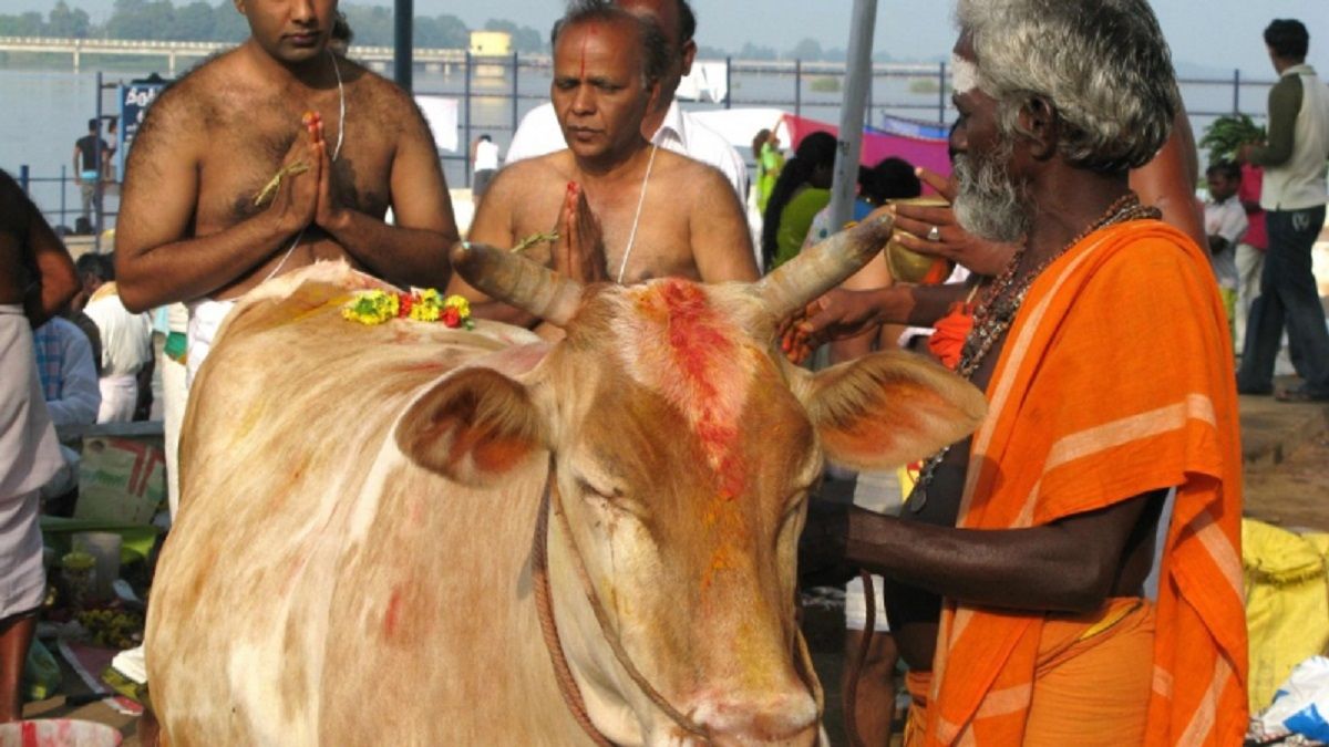 He smuggled cattle into India: he was given a life sentence