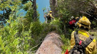 parques nacionales actualizo las tarifas de ingreso: conoce los precios parques nacionales actualizo las tarifas de ingreso: conoce los precios