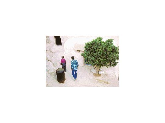 El sabor de la cereza.