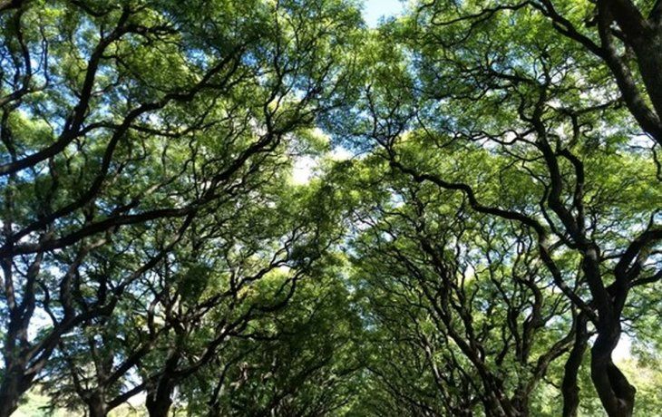 nacion dicta un curso gratuito y autogestionado para capacitar sobre turismo de naturaleza