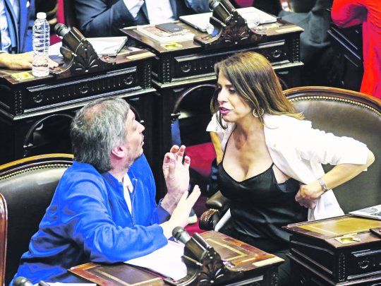Debate. M&aacute;ximo Kirchner&nbsp; y Victoria Donde en medio de las discusiones en Diputados sobre la declaraci&oacute;n por el golpe en Bolivia.&nbsp;