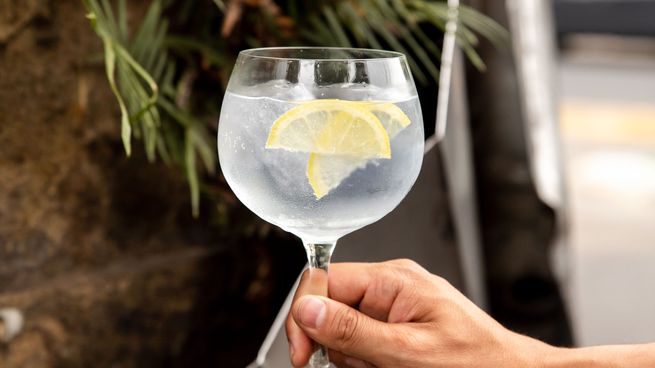 Desarmadero - Gin.jpg