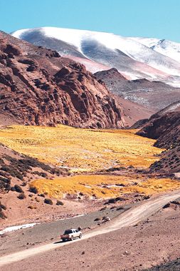 Primavera riojana junto a los Andes (foto 1)