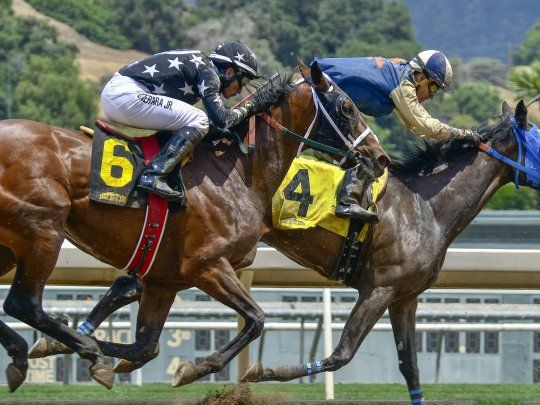 caballos carrera