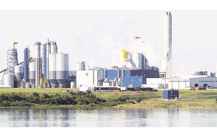 ámbito.com | CONTAMINANTE. El estudio del Comité Científico binacional reveló que la actividad de la pastera sobrepasó varios estándares ambientales.