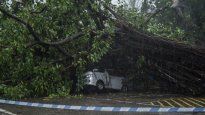 Un auto fue aplastado por un árbol, tras el feroz temporal que azotó a China