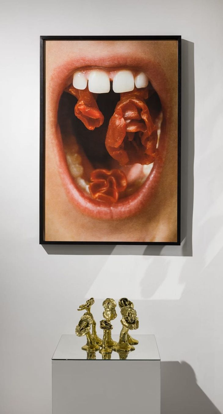 Fotografía. 90 x 60 x 3,5 cm. 2026 Vulviflora en tallo. Fundición en bronce. Medidas variables. 2026 Fotografía. 90 x 60 x 3,5 cm. 2026 Vulviflora en tallo. Fundición en bronce. Medidas variables. 2026