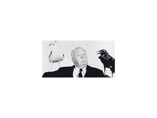 Alfred Hitchcock en la más famosa imagen publicitaria de su clásico «Los pájaros», de 1962.