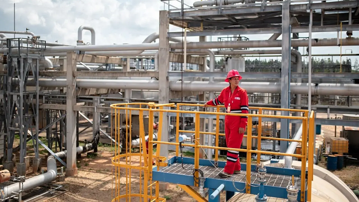 La producci&oacute;n industrial creci&oacute; 4,8% interanual, el aumento mensual m&aacute;s bajo desde agosto de 2024.