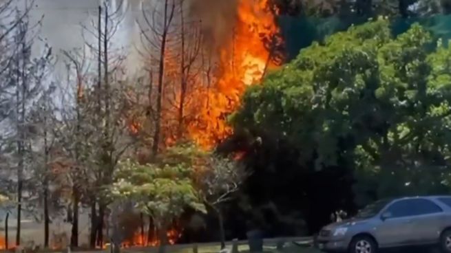 El incendio de los árboles sobre la calle Ernesto Tornquist.