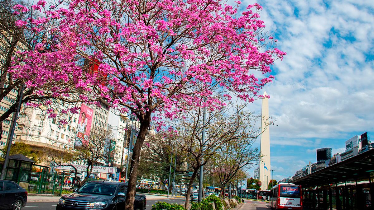 A new holiday was confirmed for October 7 in 5 cities: who is responsible for this long weekend?