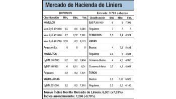 Alzas de hasta el 7,5% en Liniers