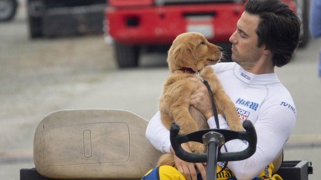 Una conmovedora historia sobre un perro y la vida de su dueño.