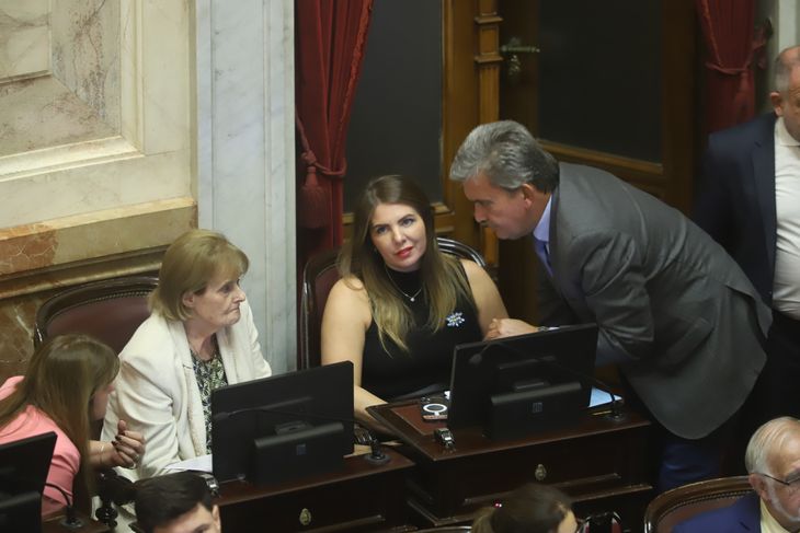 Parte del radicalismo acompañó el quórum.