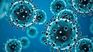 who warns of a wave of viral diseases before the arrival of the child