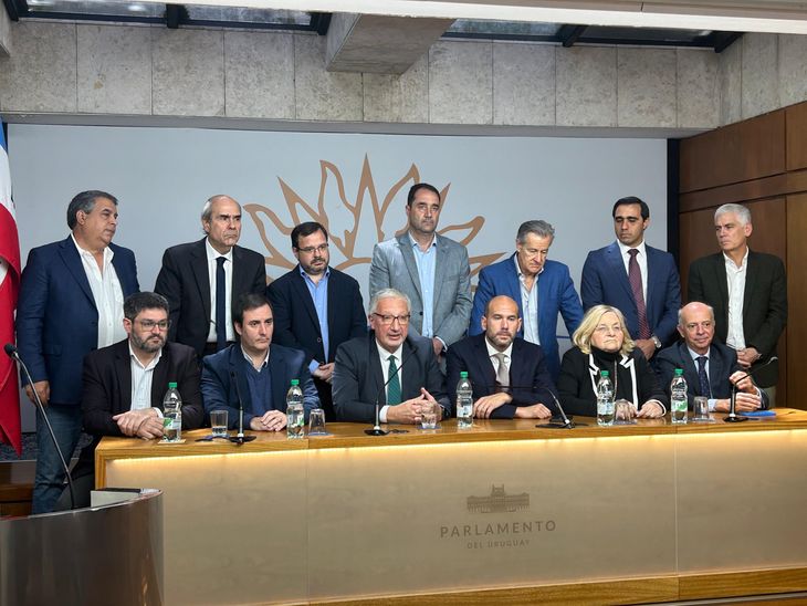 Los legisladores de la oposici&oacute;n confirmaron que la interpelaci&oacute;n a la ministra de Salud, Cristina Lustemberg, ser&aacute; en la C&aacute;mara de Diputados.