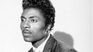 The intense life of one of the pioneers of the genre. The intense life of one of the pioneers of the genre.