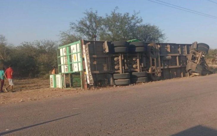 Volcó un camión lleno de vacas y los vecinos se pelearon para llevarse los animales
