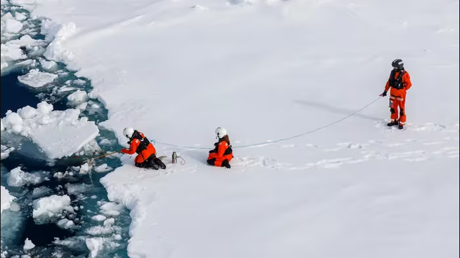 El descubrimiento fue llevado a cabo por un grupo de investigadores alemanes de la Universidad de Bremen, en colaboración con el Instituto Alfred Wegener y otros institutos británicos, irlandeses y suecos.