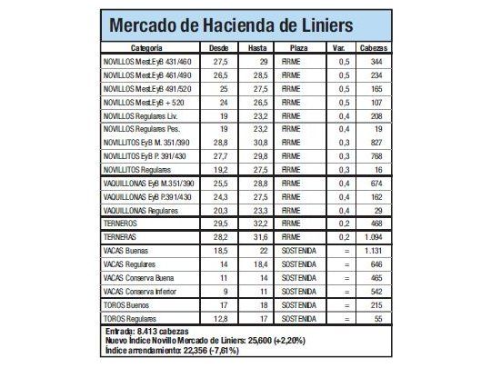 Índice Novillo subió un 2,2% en Liniers