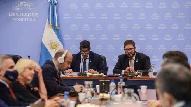 Diputados Consejo de la magistratura (2).jpeg