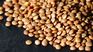 The lentils provide fiber, proteins, minerals and other nutrients. The lentils provide fiber, proteins, minerals and other nutrients.