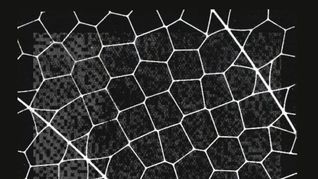 Anthropic y un nuevo modelo capaz poner en riesgo la ciberseguridad global. Anthropic y un nuevo modelo capaz poner en riesgo la ciberseguridad global.