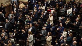 La Bicameral estará integrada por 8 diputados y 8 senadores.