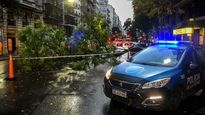el temporal provoco la caida de arboles, el dano de postes de luz y de autos en el amba