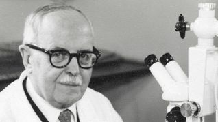 En 1982, la UNESCO estableció el Día Mundial de la Ciencia y la Tecnología en su honor. En 1982, la UNESCO estableció el Día Mundial de la Ciencia y la Tecnología en su honor.