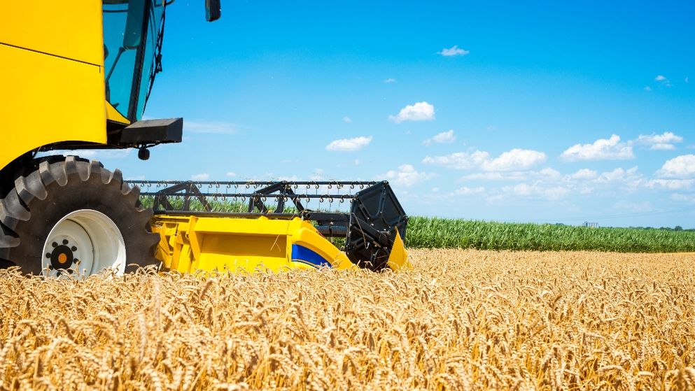 El campo argentino podría generar 251 millones de toneladas si no hubiera retenciones.