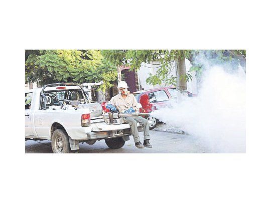 Las fumigaciones se están realizando intensamente en plazas  y parques de diferentes localidades para atacar así a los mosquitos ya adultos.