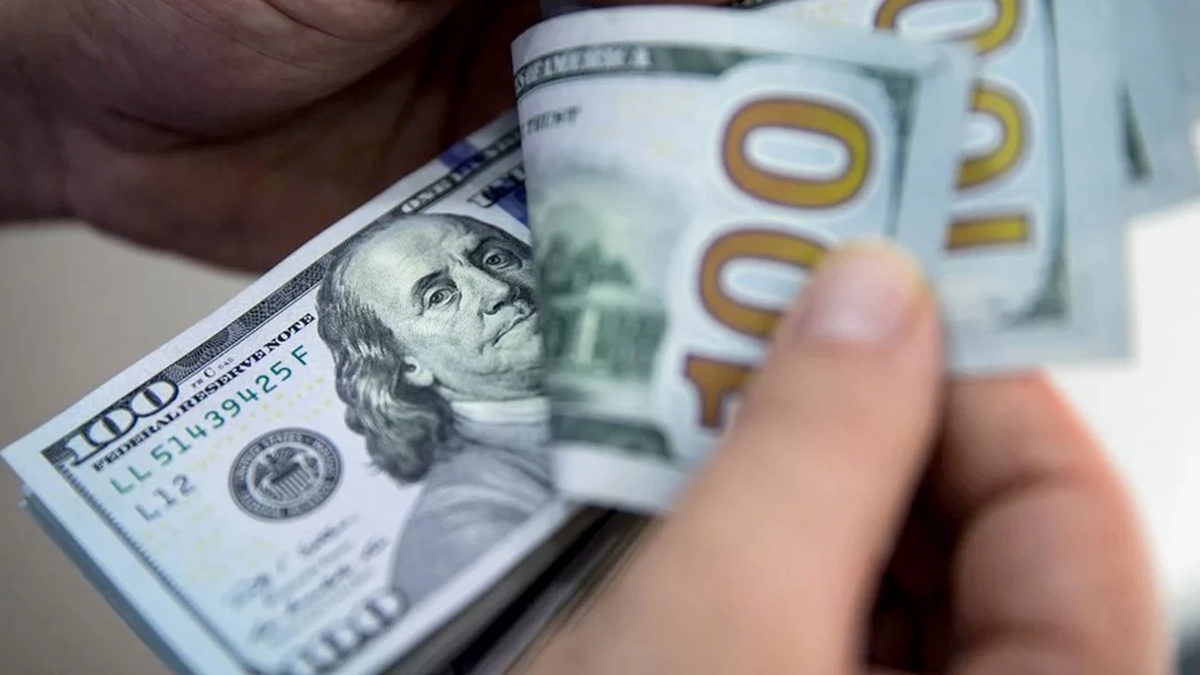 What are the best places to store dollars and prevent them from getting damaged?