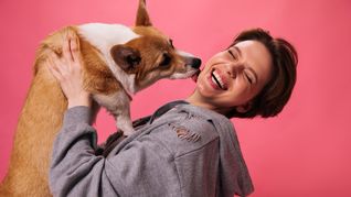 En el Día Mundial del Perro, descubre qué mensaje se esconde detrás de cada lamido de tu perro.&nbsp;
