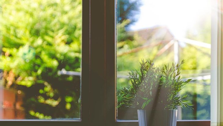 Thanks to this easy-to-apply trick, you can effectively say goodbye to stains and fingerprints on your windows.