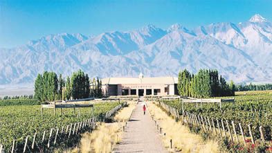 Each Mendoza winery has its own charm and offers a unique experience.
