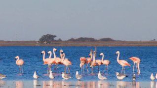 Este lugar ubicado en Santa Fe es una de las grandes variantes para disfrutar de una escapada de fin de semana que tiene el turismo.