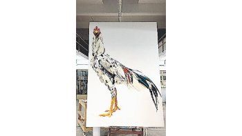 ámbito.com | El breve “resplandor” que ostentan los gallos de riña Cohen antes de ser victimizados suscita perplejidad: el espléndido animal ignora su destino.